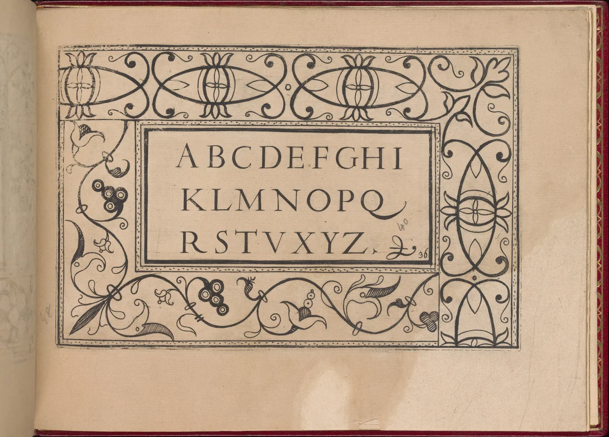 Ghirlanda: Di sei vaghi fiori scielti da piu famosi Giardini d'Italia, page 48 (recto) by Pietro Paulo Tozzi, book, 1604
