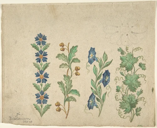 Designs for Embroidery by anonymous, drawing, 1800-1900