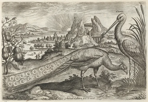 Peacock and Stork by Adriaen Collaert, print, 1595-1605