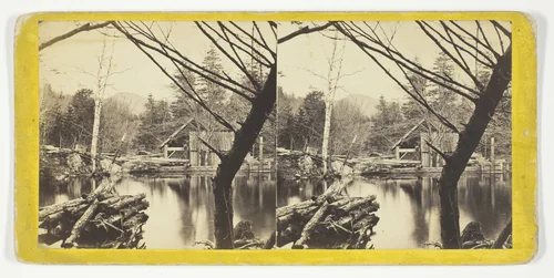The Mill Pond near Laurel House, No. 9046 from the series "The Glens of the Catskills" by Anthony & Company, photograph, 1869-1901