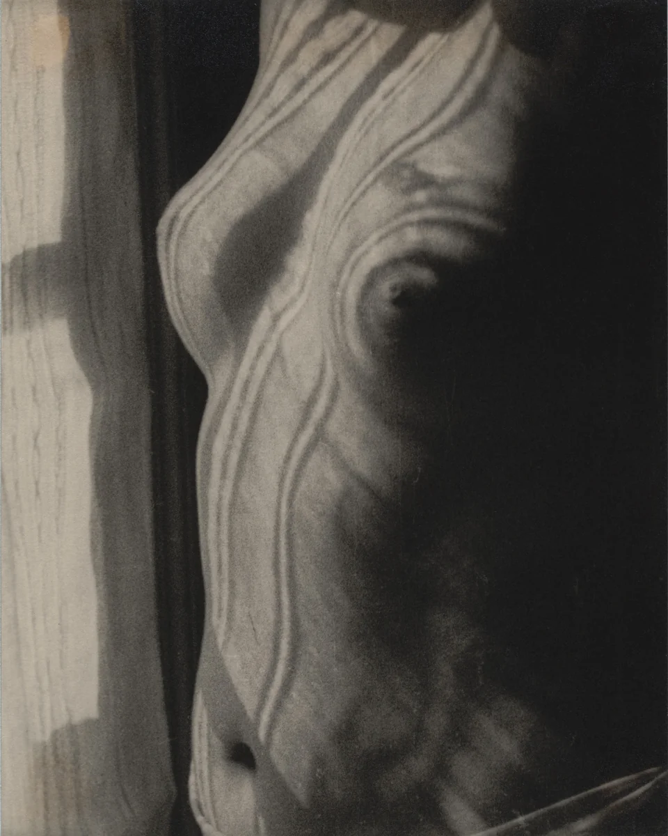 Torso by Man Ray, photograph, 1923