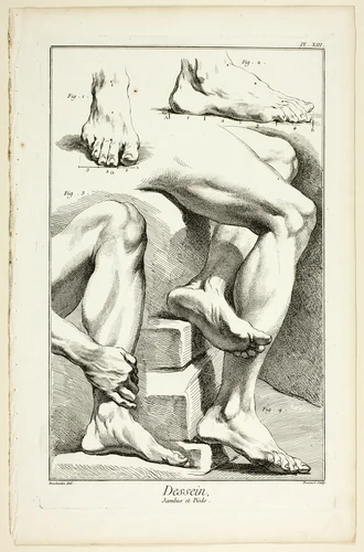 Design: Legs and Feet, from Encyclopédie by Benoît-Louis Prévost, print, 1762-1777