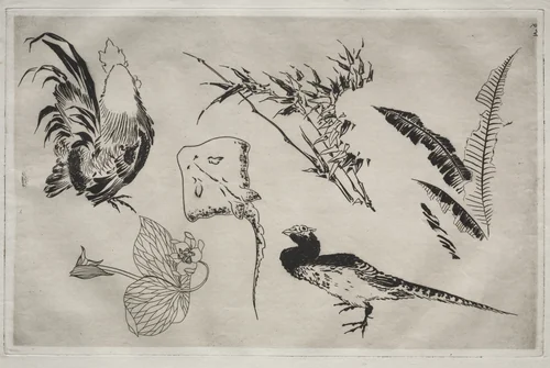 Dinner Service (Rousseau service): Roosters, skate, plants, etc. (no. 9) by Félix Bracquemond, print, 1866