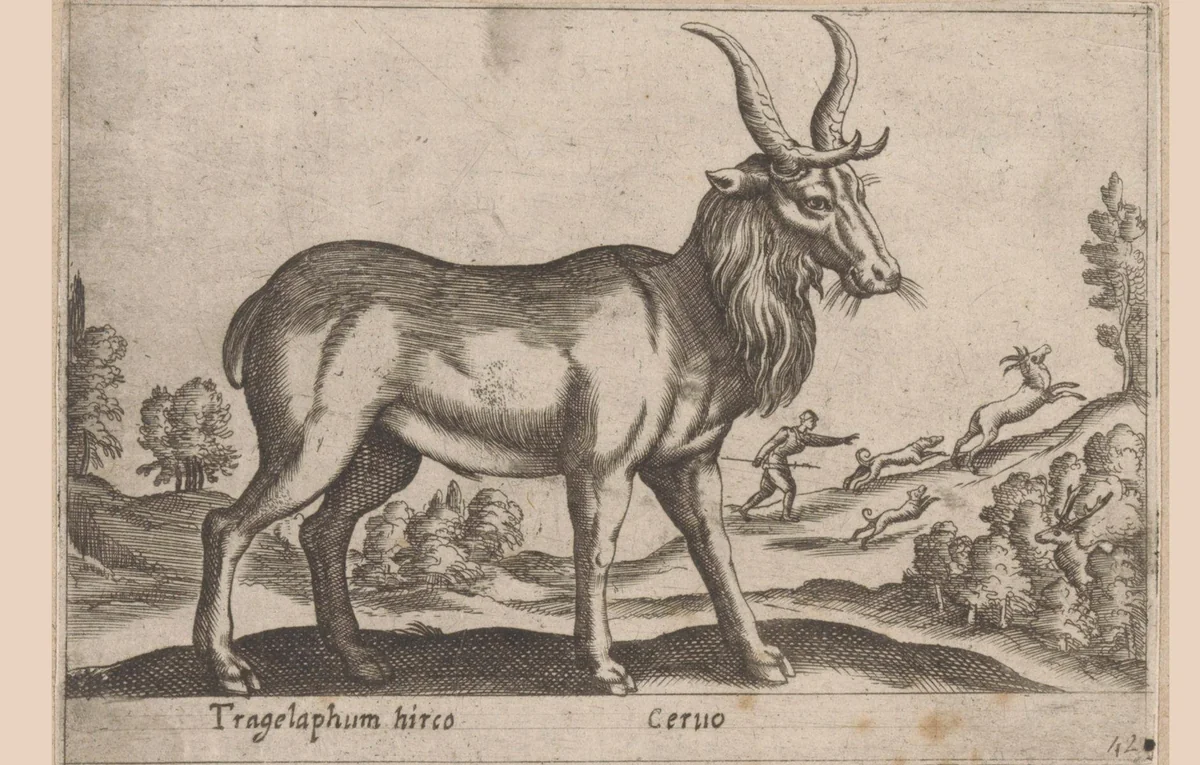 Hert by Antonio Tempesta, print, 1565-1630