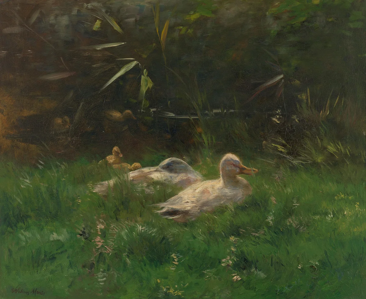 Eenden by Willem Maris, painting, 1880-1904