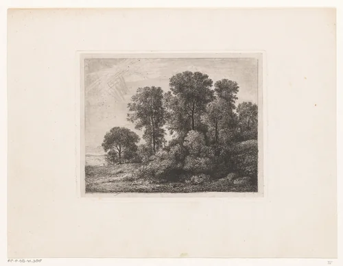Bomen en struikgewas op een heuvel by Jean Alexis Achard, print, 1850