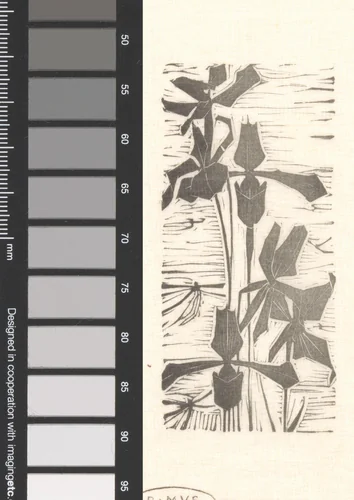 Orchideeën by Mathieu Lauweriks, print, 1895