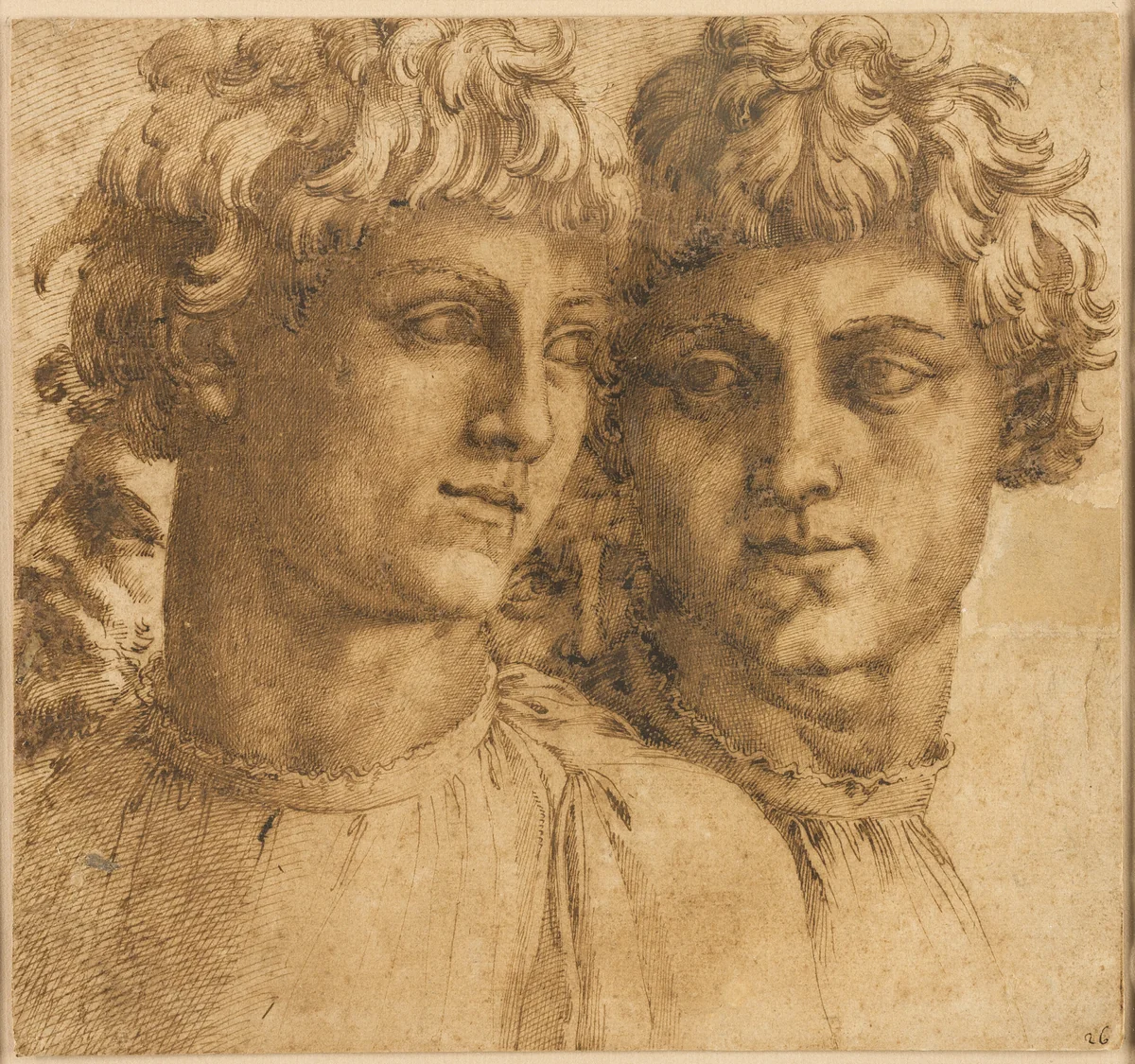 Two Studies of the Head of a Youth by Baccio Bandinelli, drawing, 1545-1555