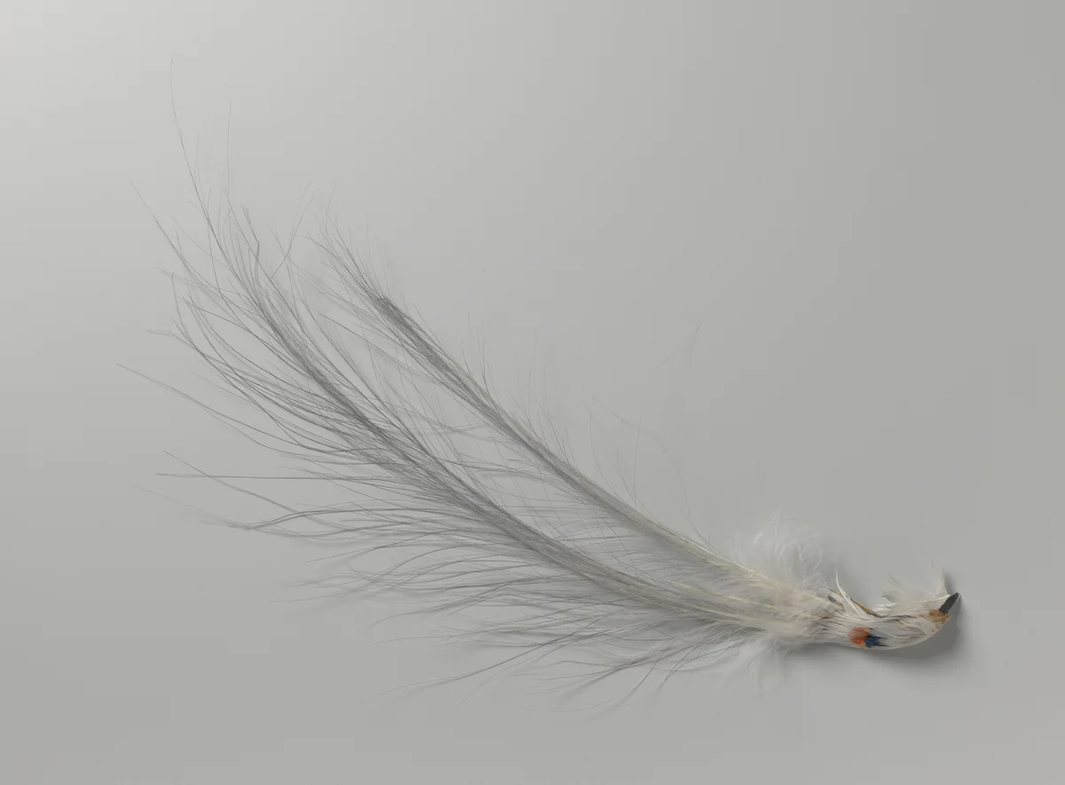 Aigrettes, lichtgrijs by anonymous, other, 1880-1925