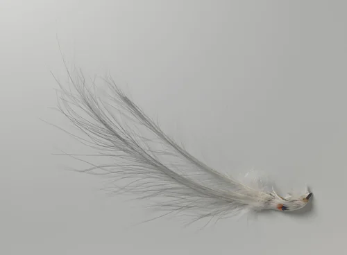 Aigrettes, lichtgrijs by anonymous, other, 1880-1925