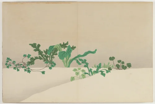Flowers of a Hundred Worlds (Momoyogusa): Seven Herbs of Early Spring (Nanagusa) by Kamisaka Sekka, book, 1909-1910