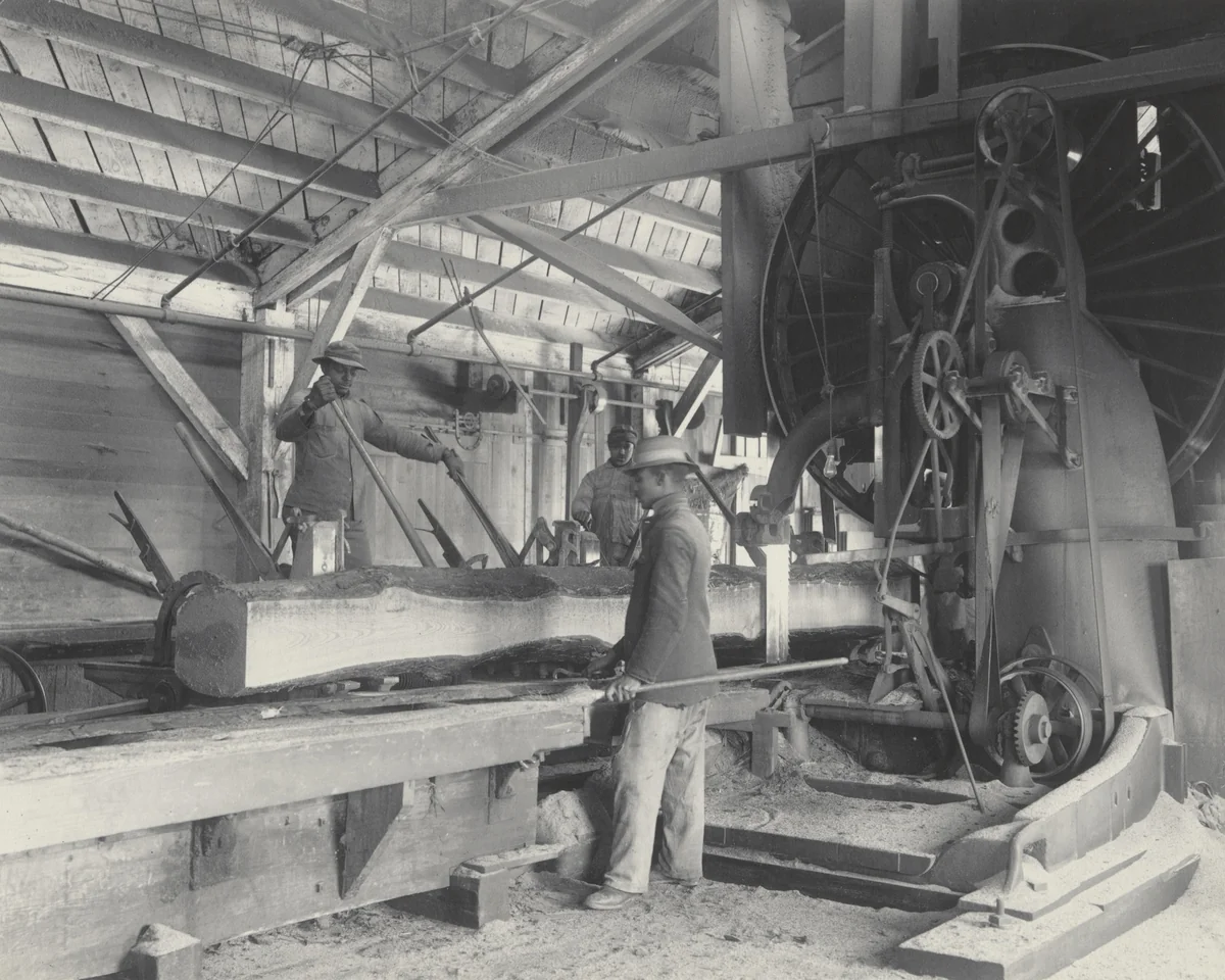 Log sawing by Frances Benjamin Johnston, photograph, 1899