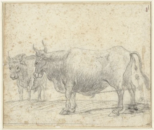 Twee koeien by Claude Lorrain, drawing, 1635-1645