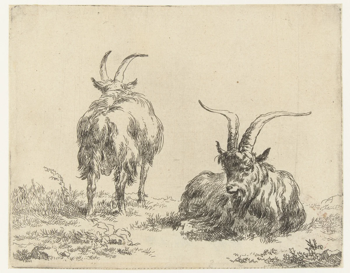 Liggende en staande geit of bok by Nicolaes Pietersz Berchem, print, 1648-1652