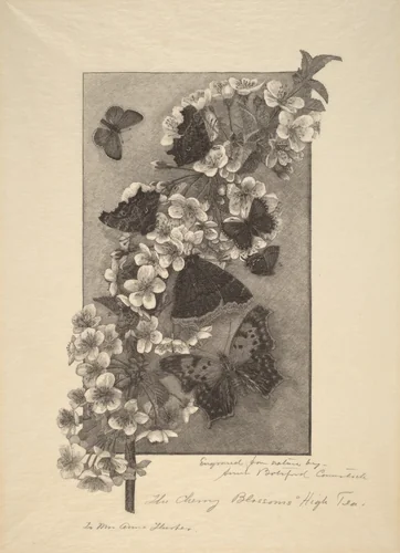 The Cherry Blossoms - High Tea by Anna Botsford Comstock, print, 1890