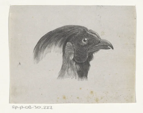 Vogelkop (mogelijk een fazant) by Evert Schippers, print, 1856-1935