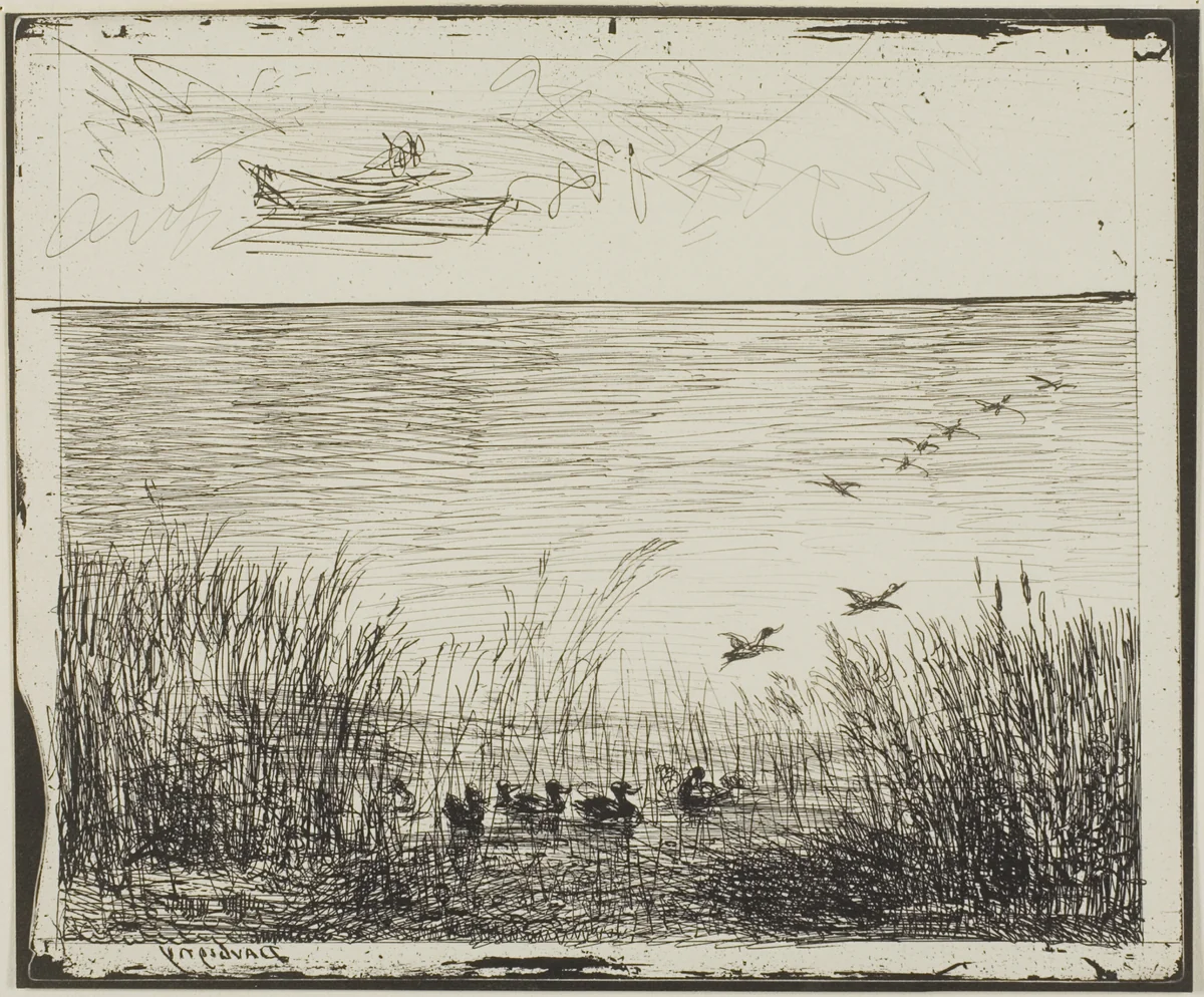 Marsh with Ducks by Charles-François Daubigny, print, 1862
