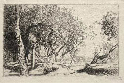 The Twisted Tree by Auguste Louis Lepère, print, 1915