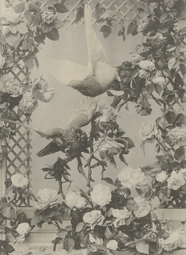 Page from Festons und Dekorative Gruppen by Unidentified Photographer, photograph, 1893