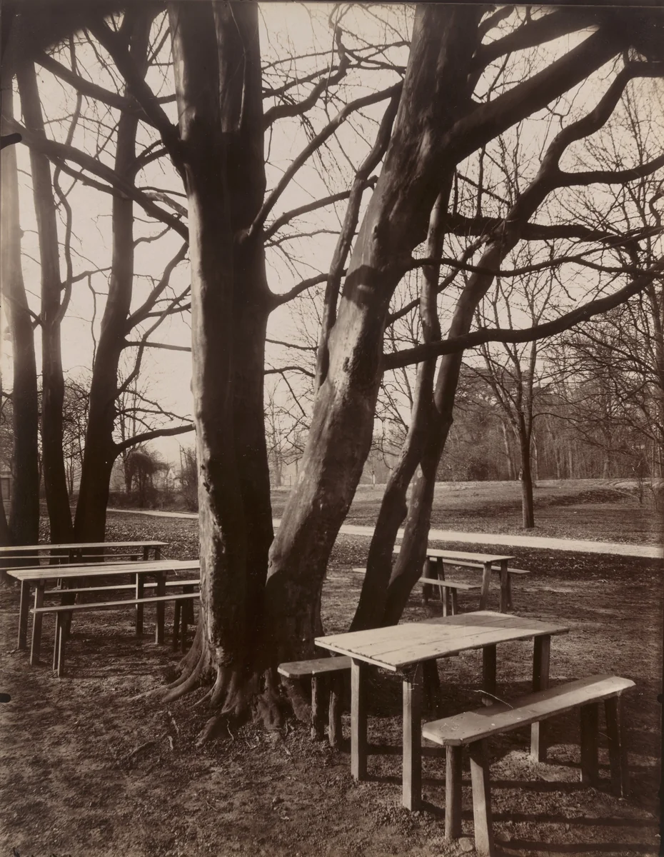 Parc de Saint-Cloud by Eugène Atget, photograph, 1919