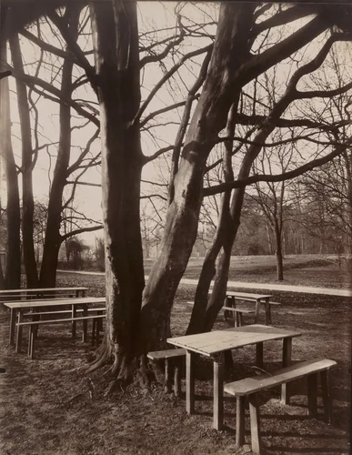 Parc de Saint-Cloud by Eugène Atget, photograph, 1919