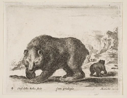 Bear, plate 4 from "Various Animals" (Diversi Animali) by Stefano della Bella, print, 1641