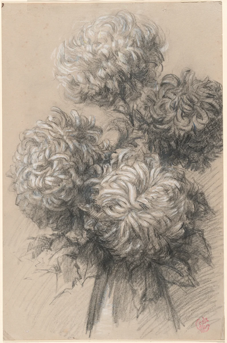 Chrysanthemums by Émile Schuffenecker, drawing, 1890