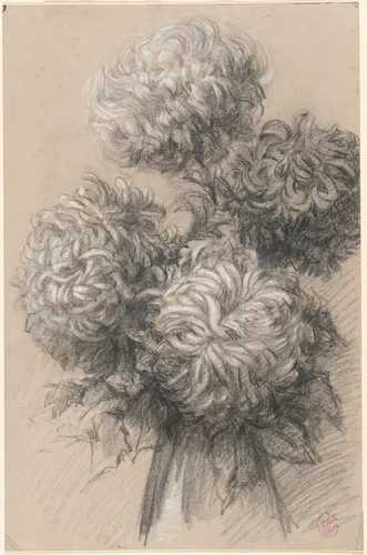 Chrysanthemums by Émile Schuffenecker, drawing, 1890