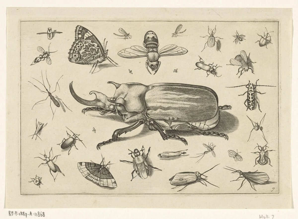 Insecten by Jacob Hoefnagel, print, 1630