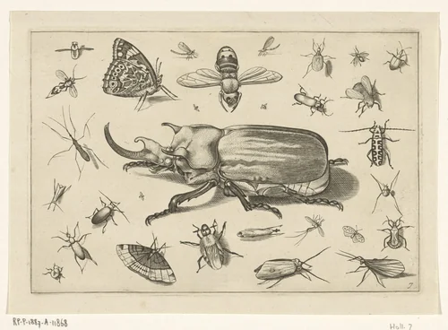 Insecten by Jacob Hoefnagel, print, 1630