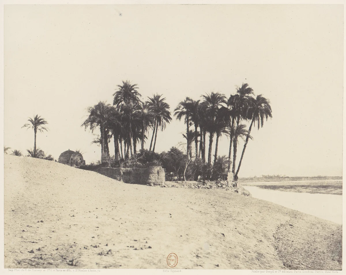 Louksor, Dattiers et Jardin de l'Expédition du Louksor by Félix Teynard, photograph, 1851-1852