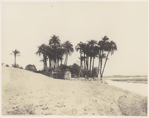 Louksor, Dattiers et Jardin de l'Expédition du Louksor by Félix Teynard, photograph, 1851-1852