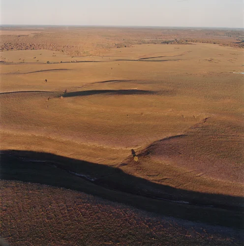 Newly burned area and grasses by Terry Evans, photograph, 1999