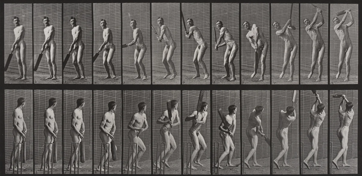 Cricket, Batting and Drive: Plate 291 from Animal Locomotion (1887) by Eadweard Muybridge, photograph, 1884