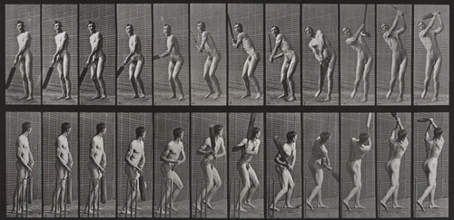 Cricket, Batting and Drive: Plate 291 from Animal Locomotion (1887) by Eadweard Muybridge, photograph, 1884