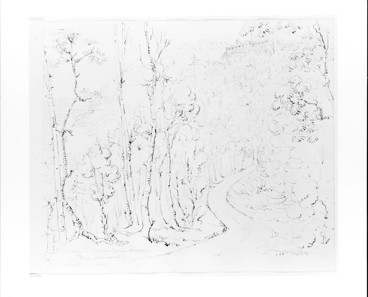 Catskill Mountain House from Pine Orchard (from Sketchbook) by John William Casilear, artwork, 1834-1838