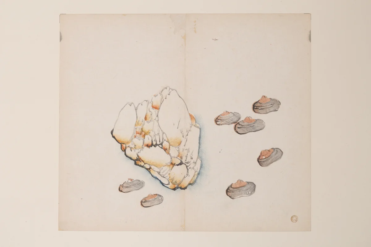 Page from the Ten Bamboo Studio Manual of Painting and Calligraphy by Hu Zhengyan, print, 1633