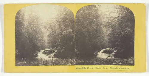 Cascadilla Creek, Ithaca, N.Y. Cascade above dam by J. C. Burritt, photograph, 1860-1865