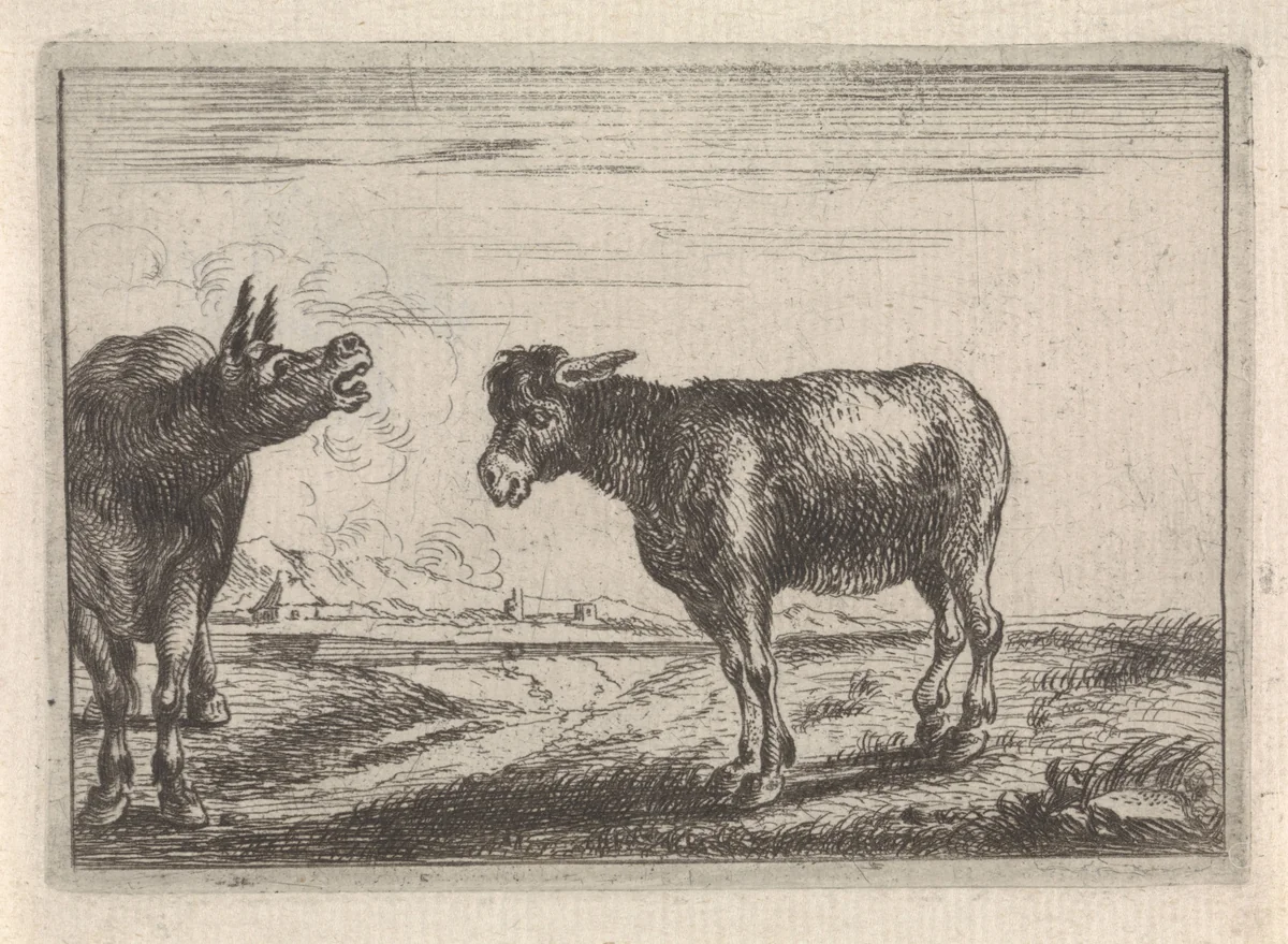 Twee ezels by Theodorus van Kessel, print, 1654