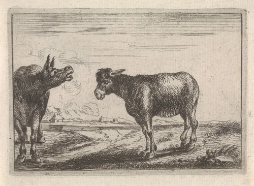 Twee ezels by Theodorus van Kessel, print, 1654