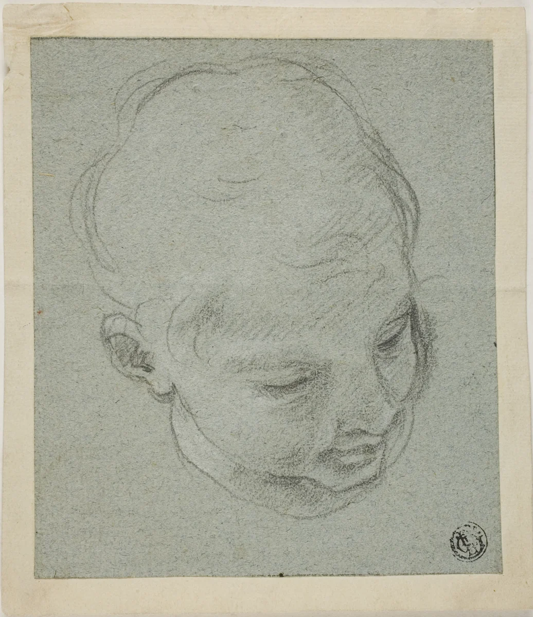 Young Boy's Head by Guido Reni, drawing, 1600-1699