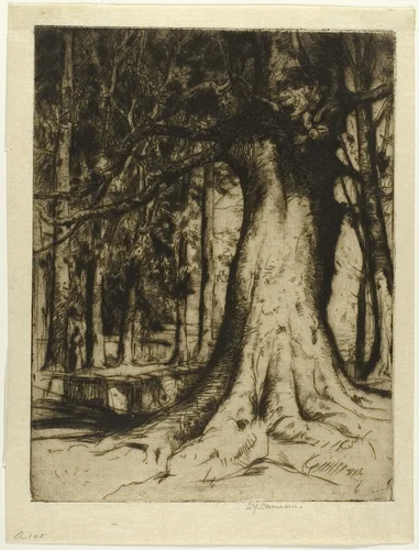 The Sycamore by David Young Cameron, print, 1905