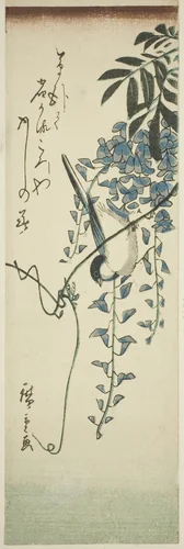 Bird and wisteria by Utagawa Hiroshige (歌川広重), print, 1837-1847