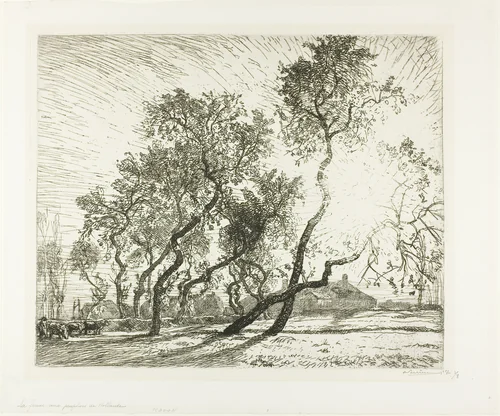 Farm with Dutch Poplars by Louis Auguste Lepère, print, 1914
