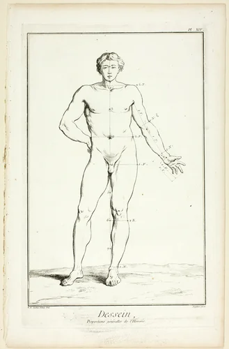 Design: General Proportions of the Male, from Encyclopédie by Charles-Nicholas Cochin, print, 1762-1777
