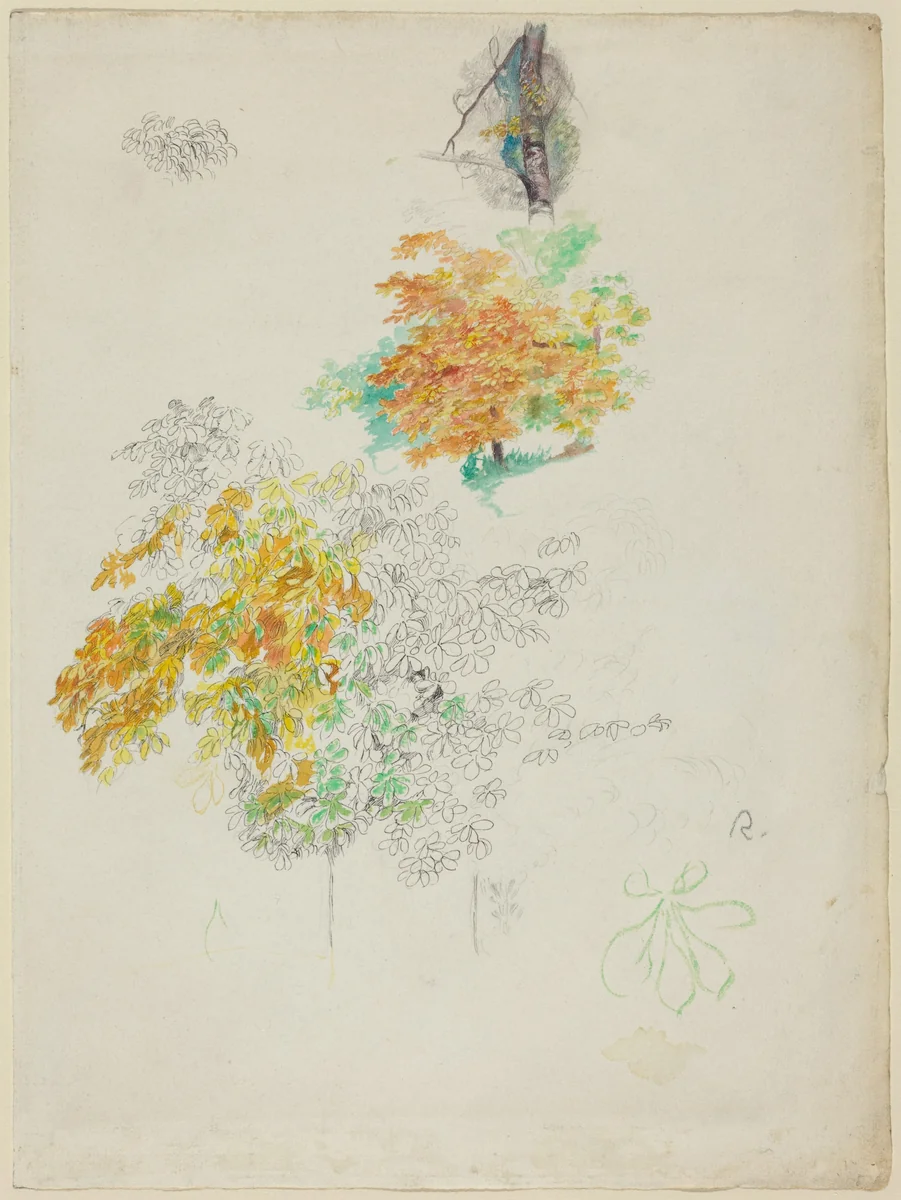 Studies of Trees by Auguste Renoir, drawing, 1886