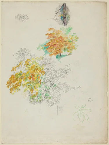 Studies of Trees by Auguste Renoir, drawing, 1886