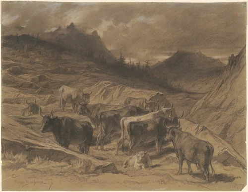 Cattle in the Auvergne by Rosa Bonheur, drawing, 1867