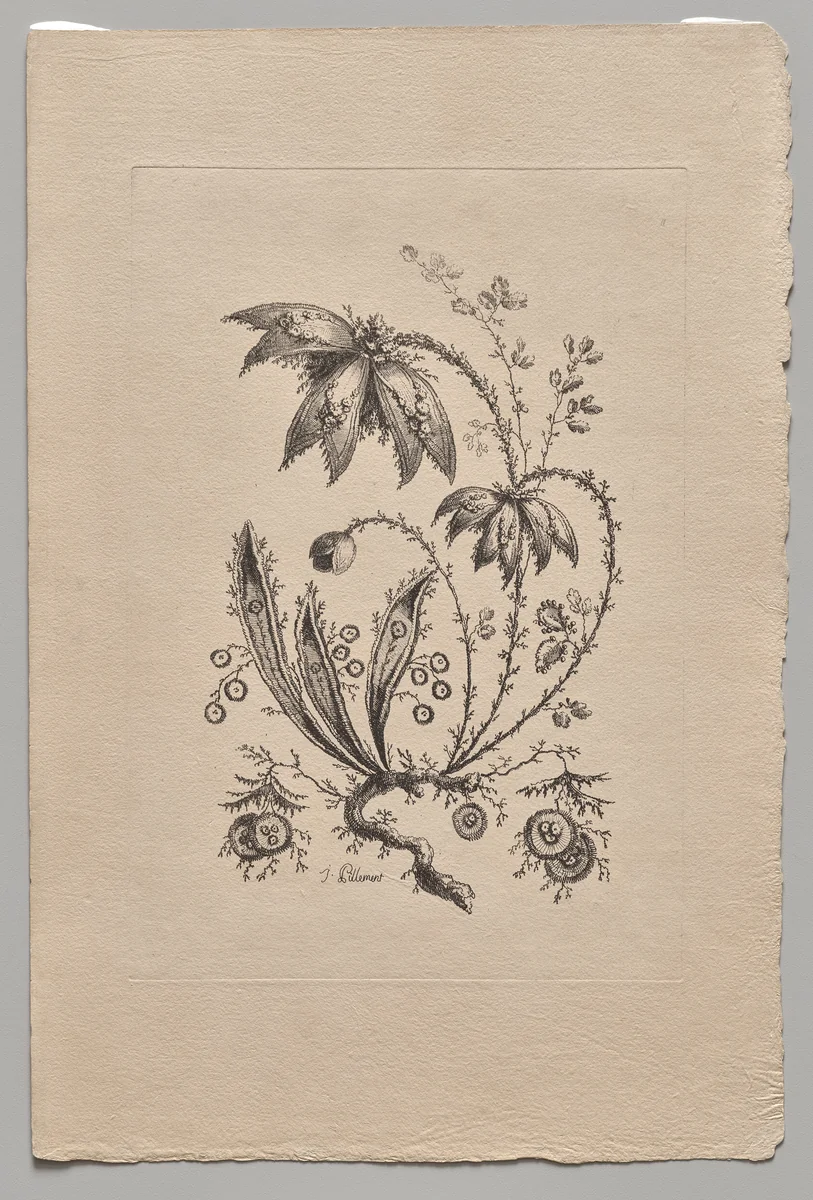 Persian Flowers by Jean Baptiste Pillement, print, 1755