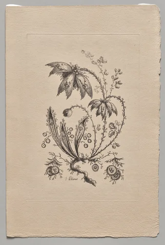 Persian Flowers by Jean Baptiste Pillement, print, 1755